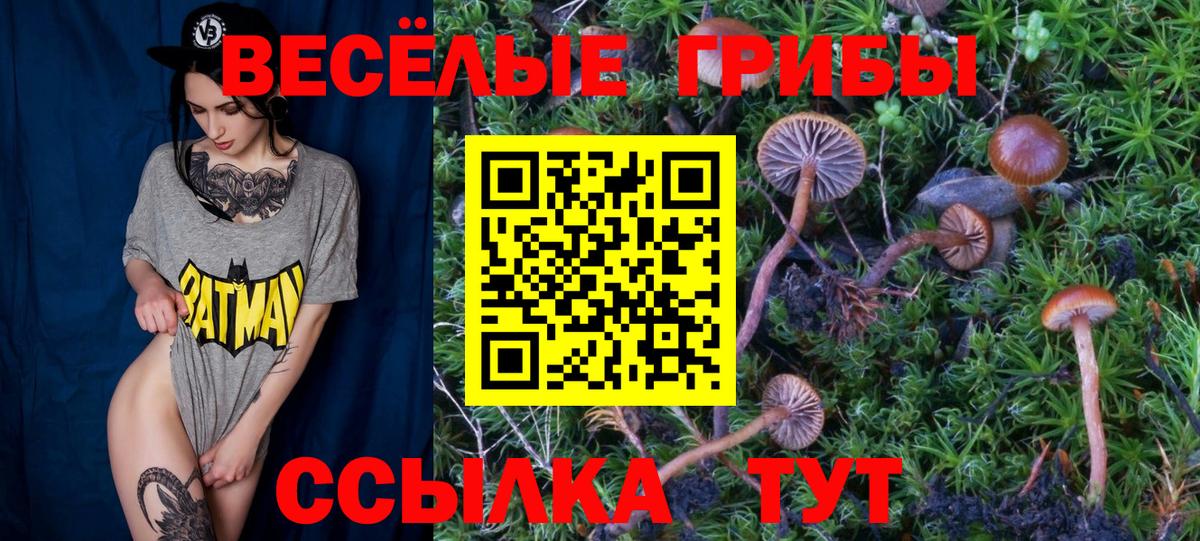 Галлюциногенные грибы прущие грибы Кольчугино