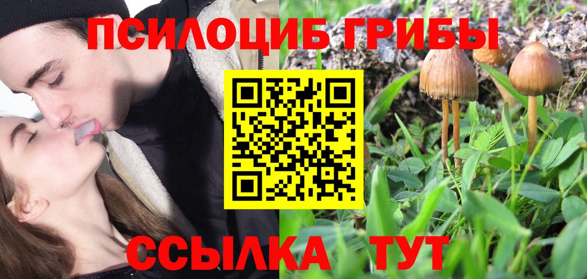 Галлюциногенные грибы Magic Shrooms  где купить наркоту  Кольчугино  Псилоцибиновые грибы мицелий  Вход с VPN 